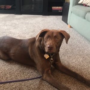 Meet your Posher, Ben